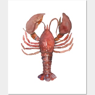 Watercolor lobster Posters and Art